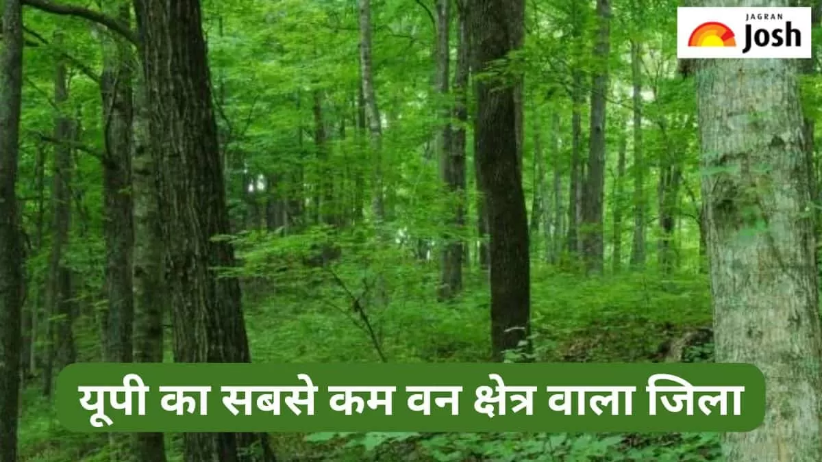 उत्तर प्रदेश के किस जिले में है सबसे कम वन क्षेत्र