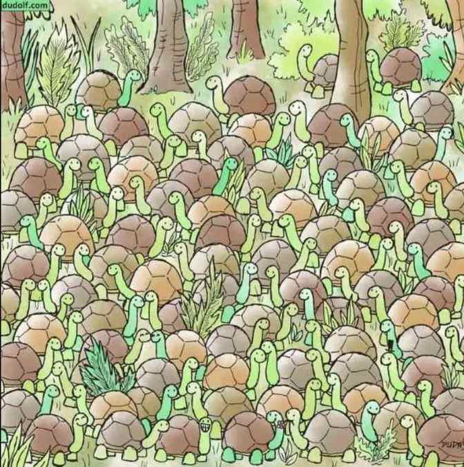 picture puzzles with answers