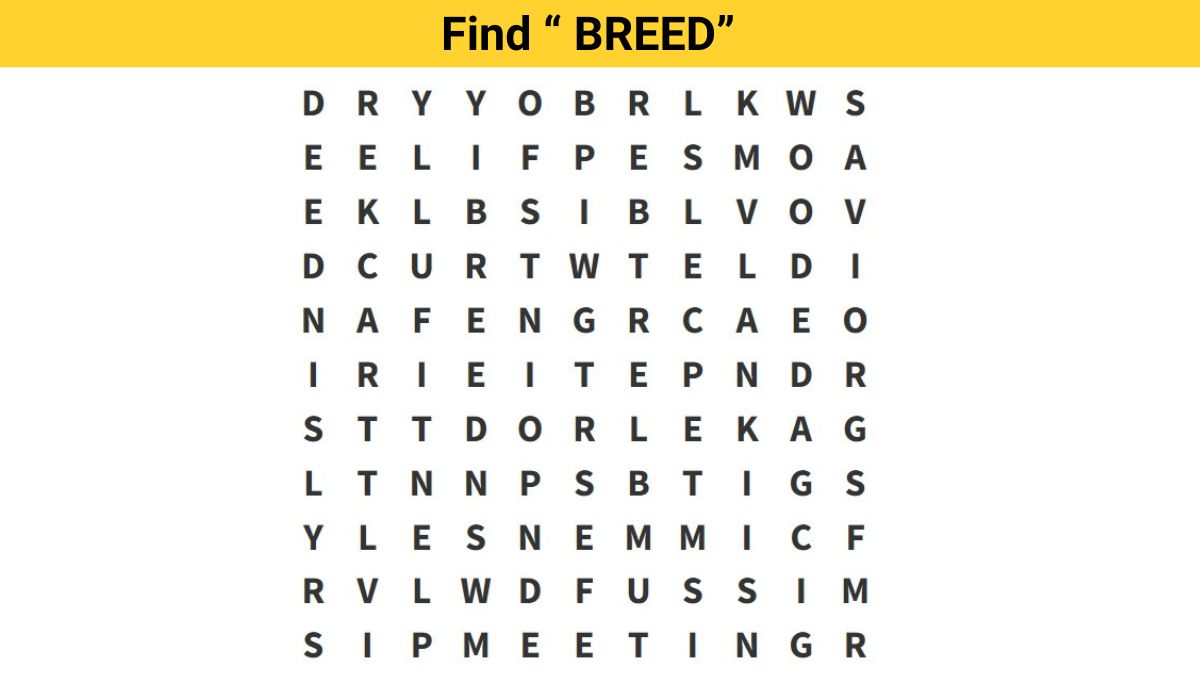 Word Search Puzzle - Find the word ”BREED” in 10 seconds!