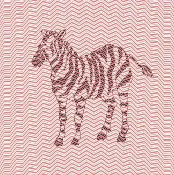 optical illusion pictures with hidden images