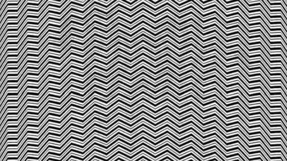 Optical Illusion IQ Test: Only 2% With Hawk Eyes Can Spot The Animal in 8 Seconds!