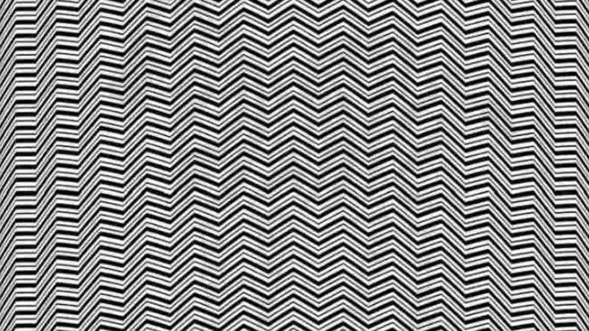 Optical Illusion To Test Your IQ: Spot The Hidden Animal.