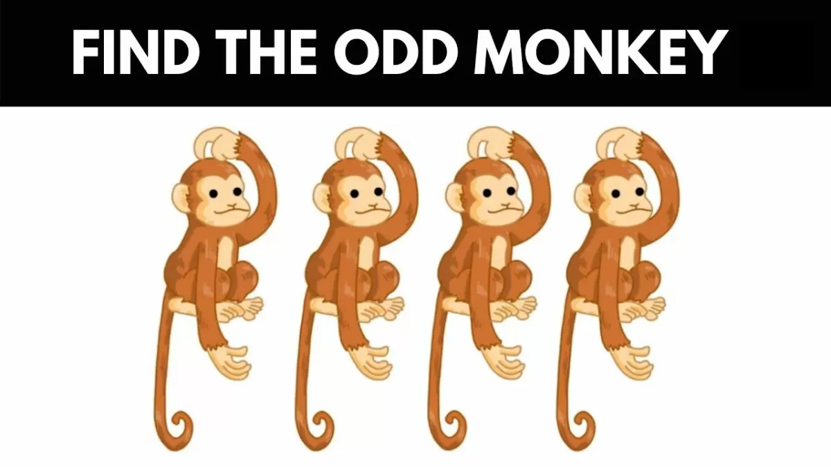 Spot the odd monkey.