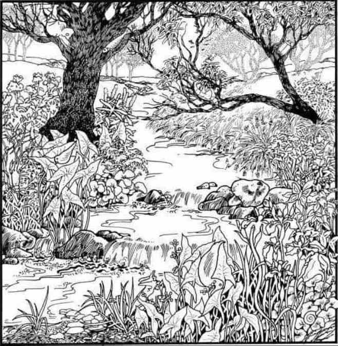 optical illusions with answers