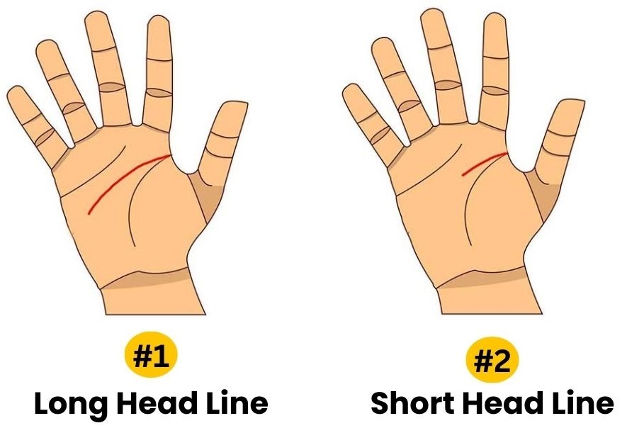 head line personality test