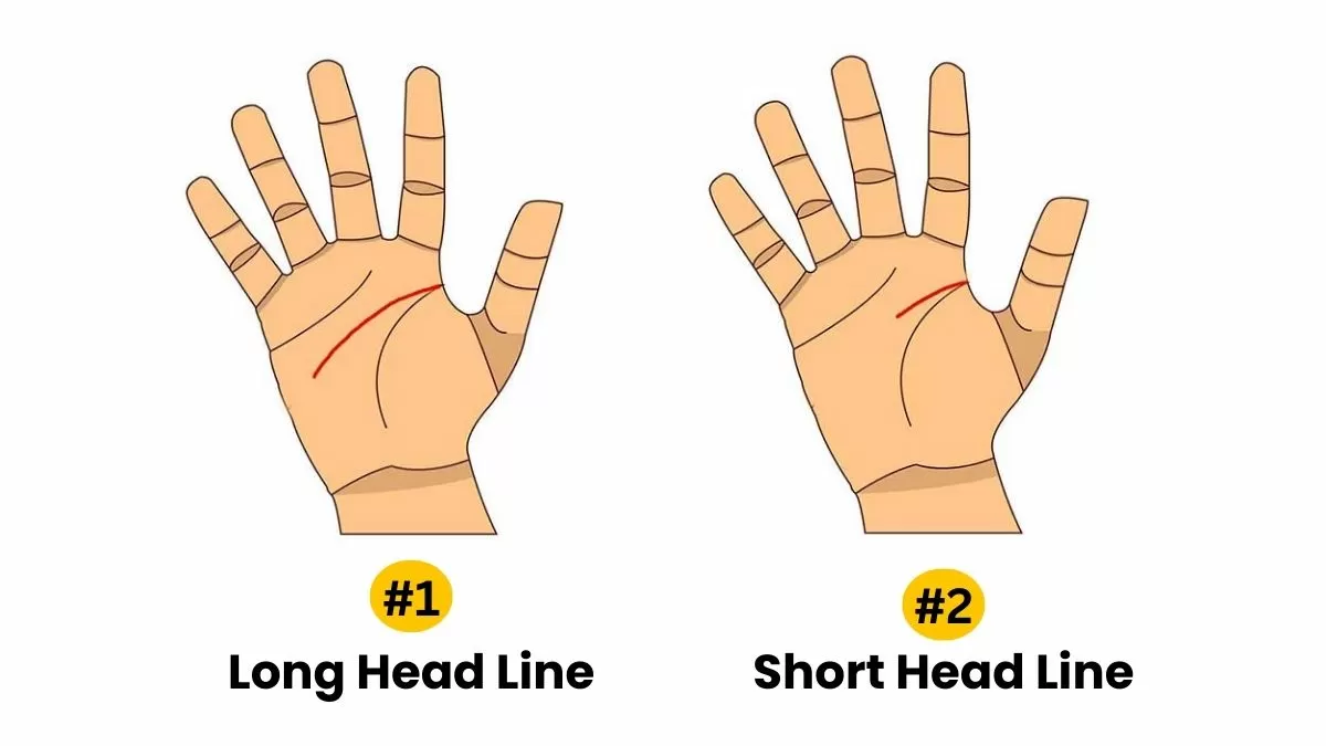 Head Line Personality Test