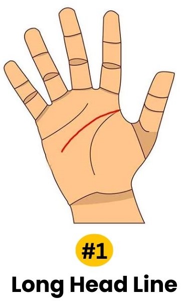 long head line personality traits