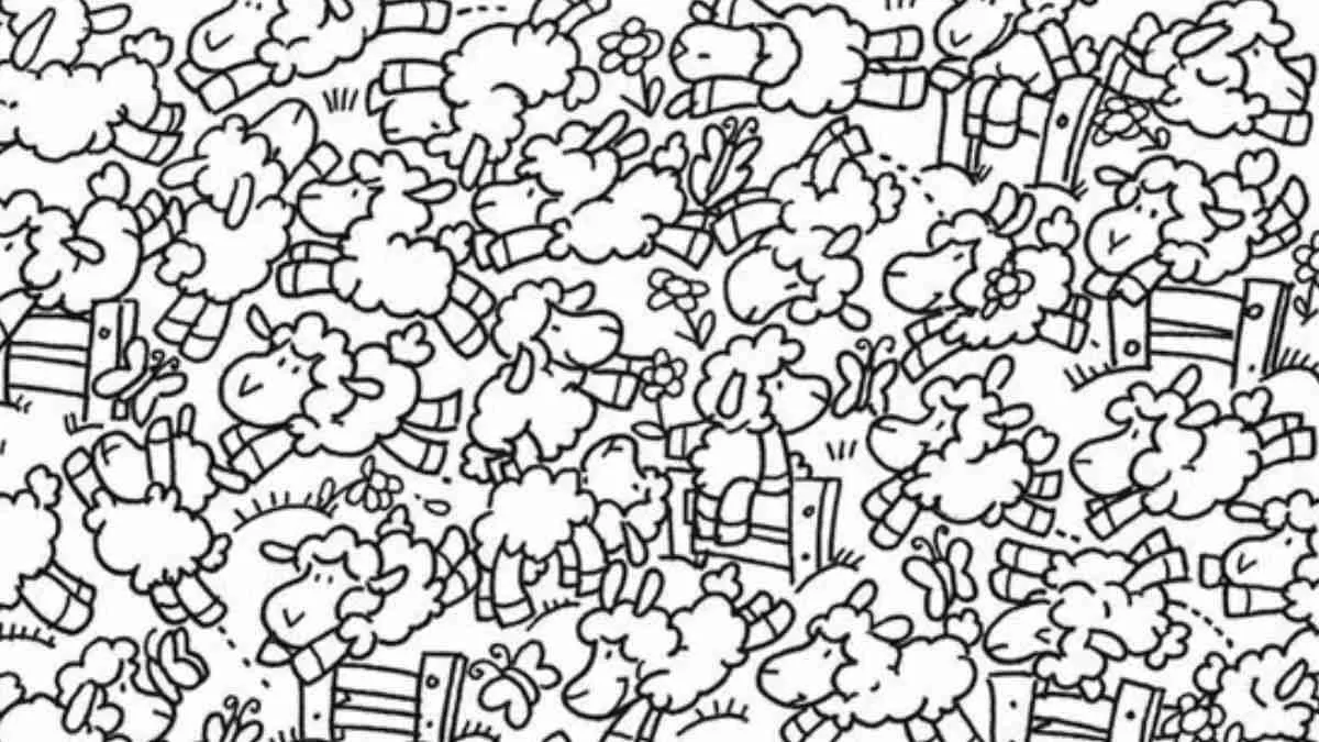 Spot the chick.