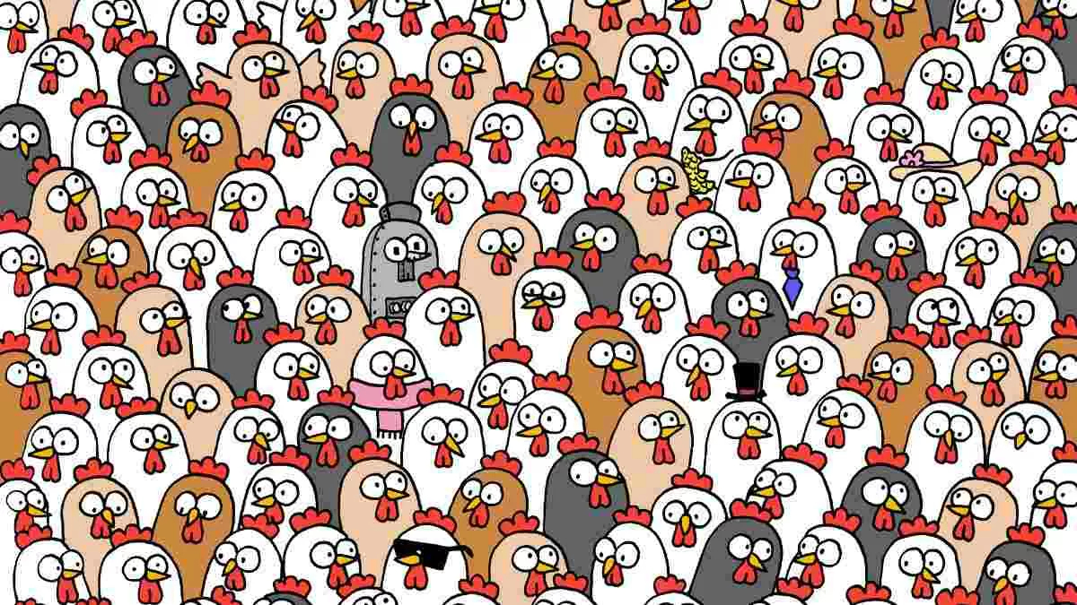 Spot Three Owls.