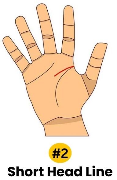 short head line personality traits