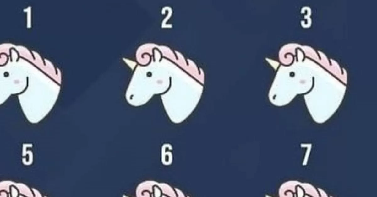 Find the Odd Unicorn 
