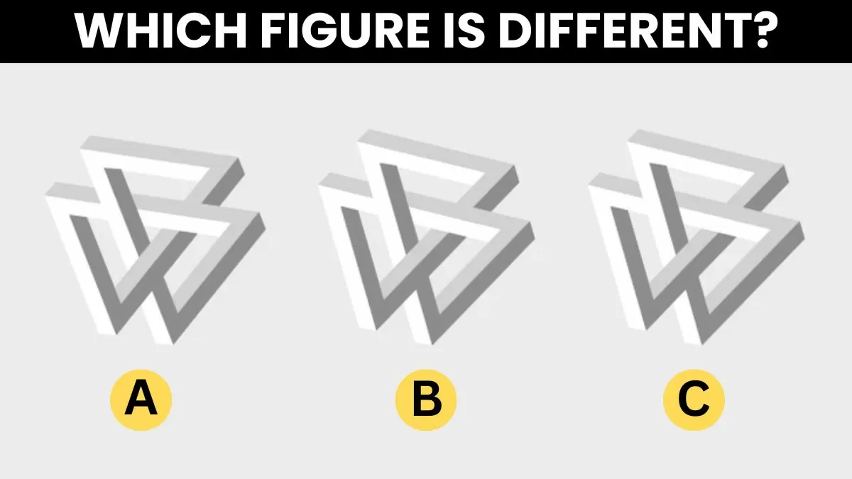 Which figure is different?