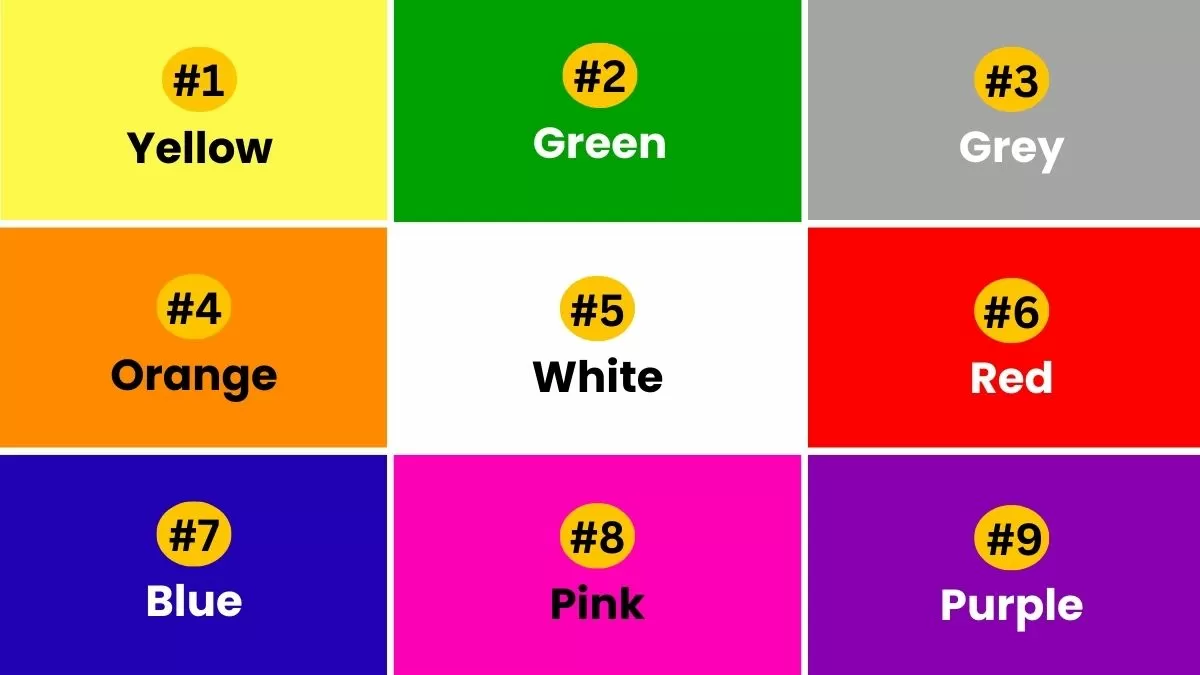 Favourite Navratri Colour Personality Test