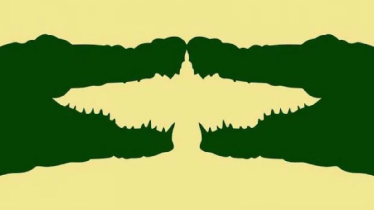 optical illusion personality test