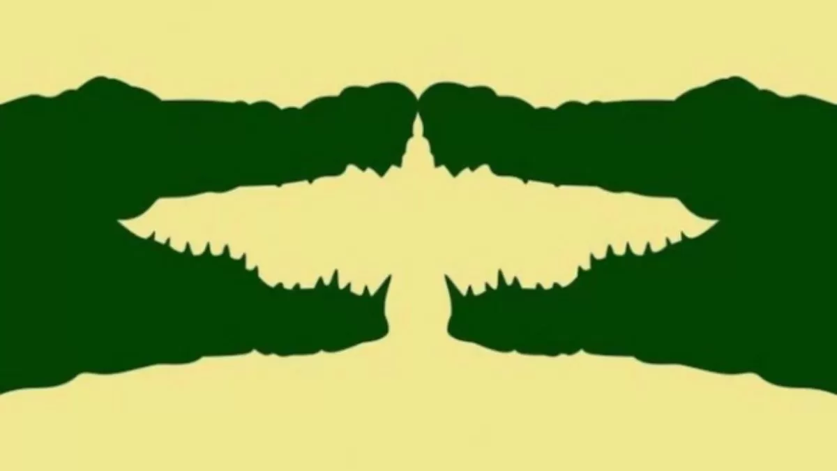 Optical Illusion Personality Test
