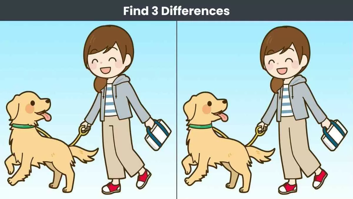 Find 3 differences in 15 seconds