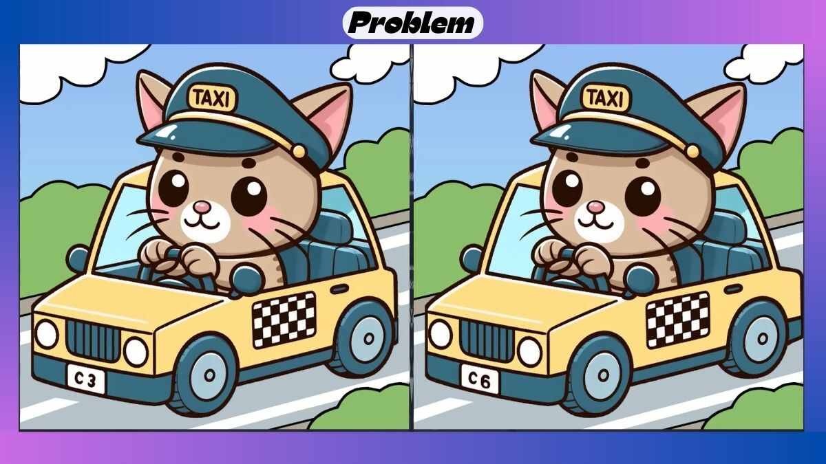 Find 3 Differences in 29 Seconds in This Police Cat Picture