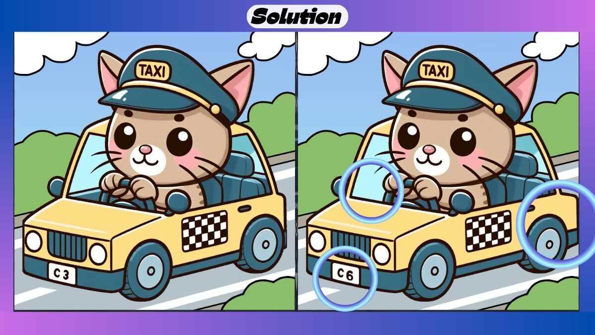 Find 3 Differences in 29 Seconds in This Police Cat Picture