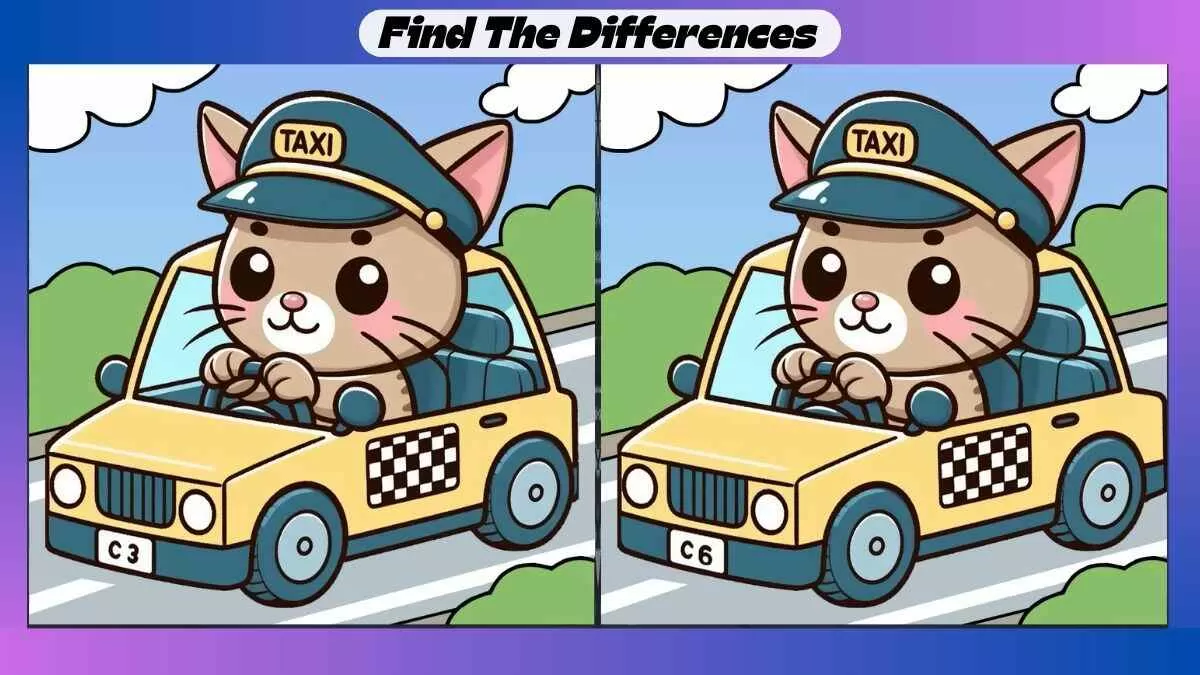 Find 3 Differences in 29 Seconds in This Police Cat Picture