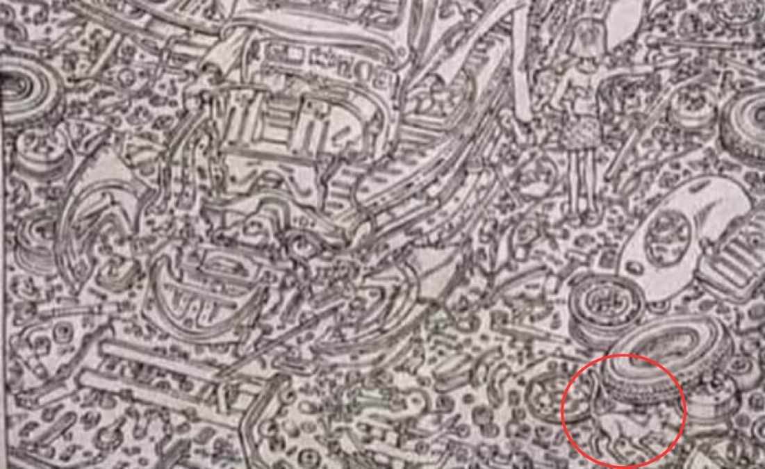 hidden cat optical illusions with answers