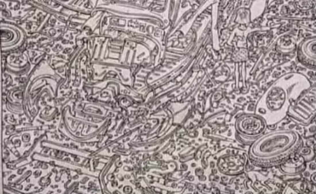 hidden cat optical illusions with answers