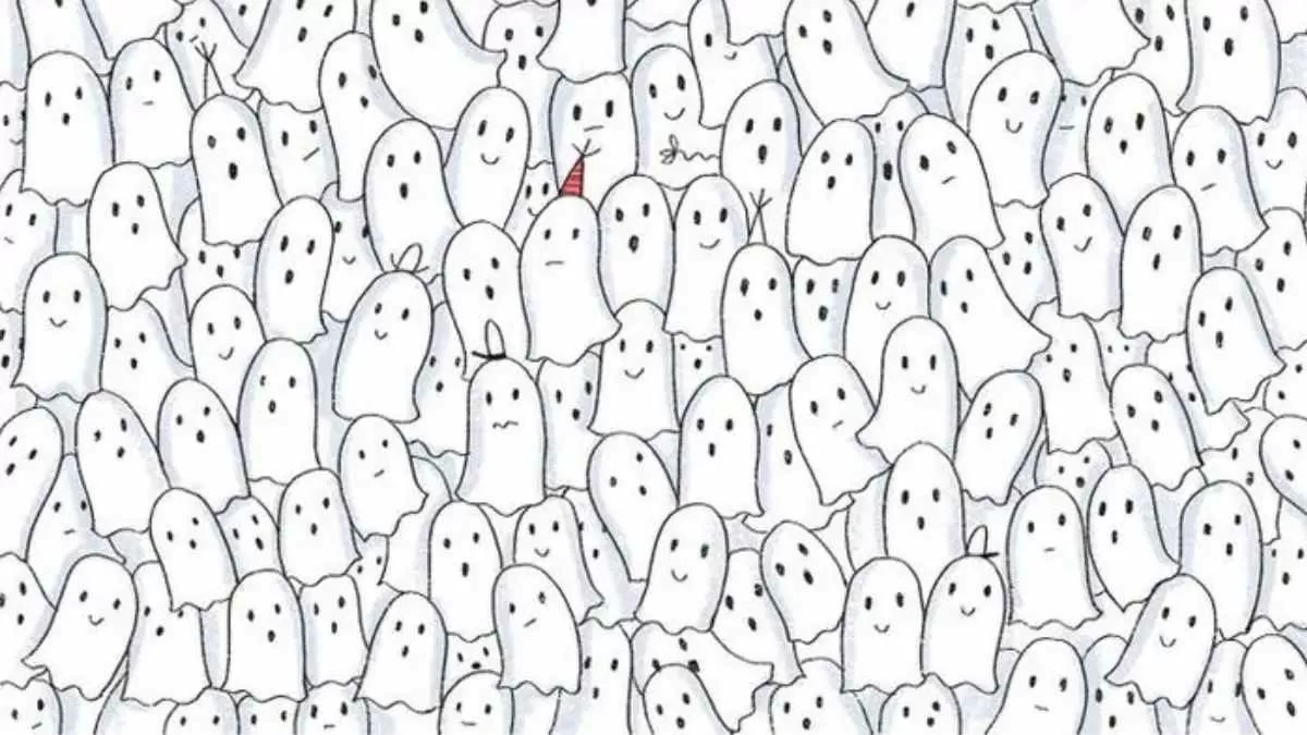 Spot the seal.