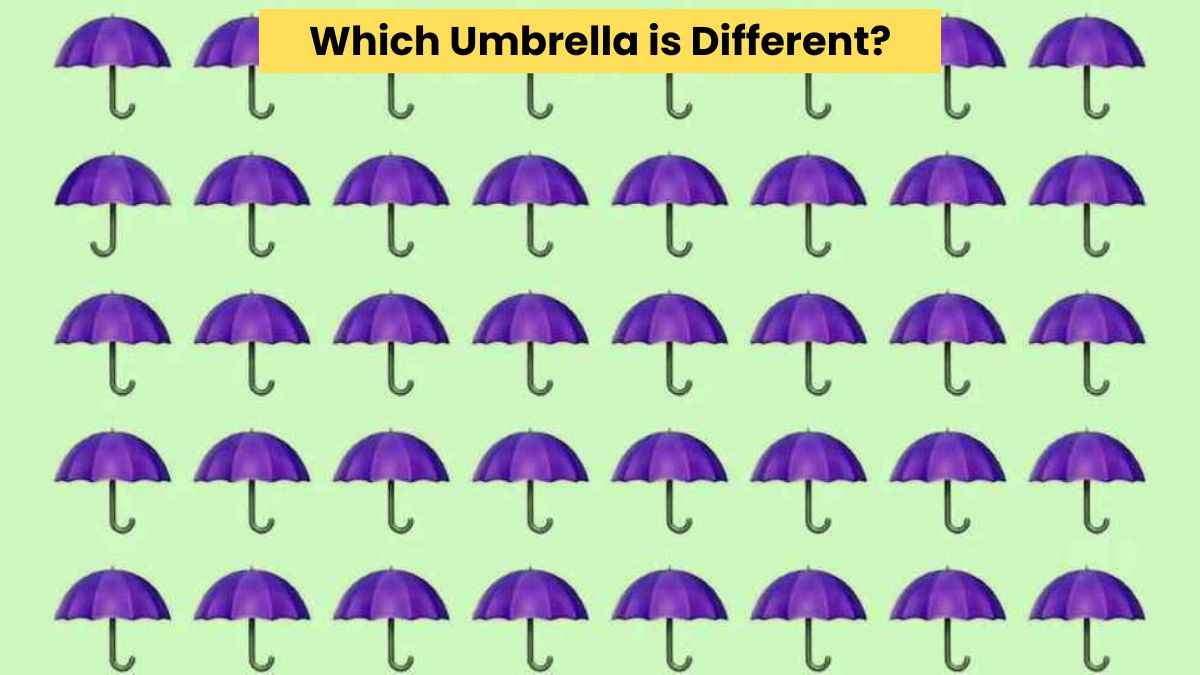 Visual Skill Test: Find the different umbrella in the picture in 3 seconds!