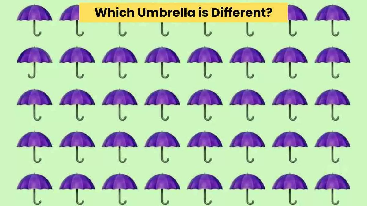 Find the different umbrella in 3 seconds