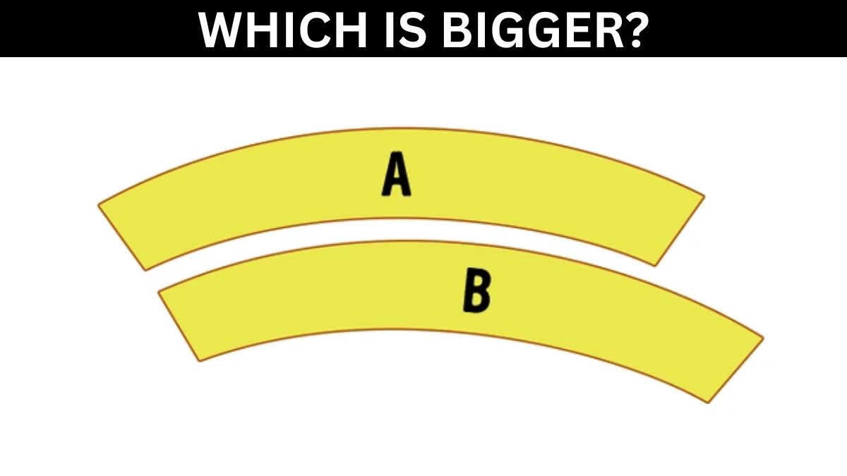 Brain Teaser: Which Is Bigger? Prove Your IQ In 5 Seconds!
