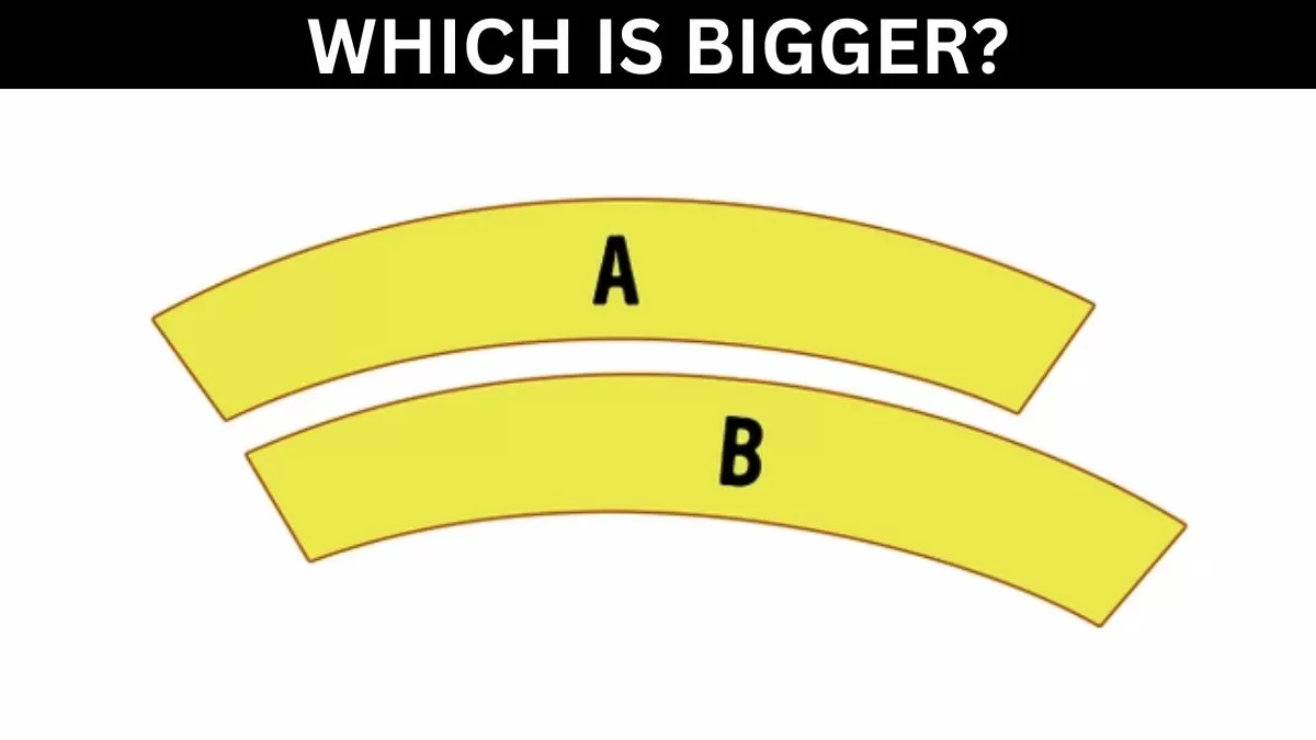 Which is bigger?