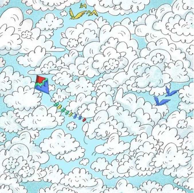 hidden optical illusion with answers