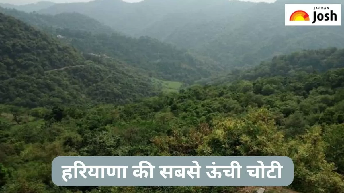 हरियाणा की सबसे ऊंची चोटी