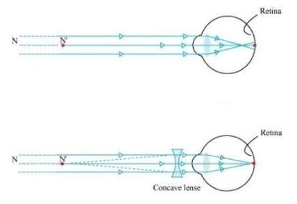 class 10 light assignment