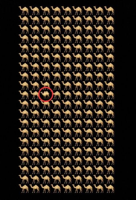 brain teasers with answers