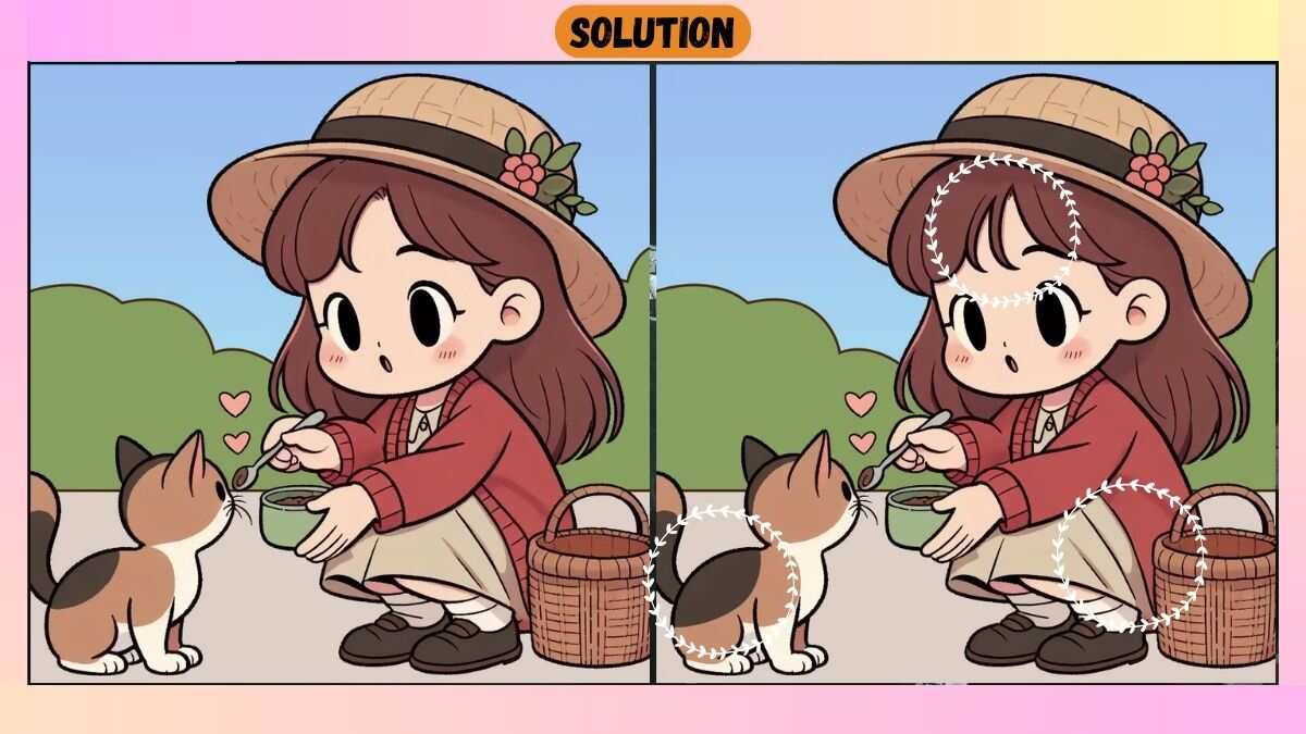 Spot 3 Differences Between Girl Feeding a Cat Pictures in 30 Seconds