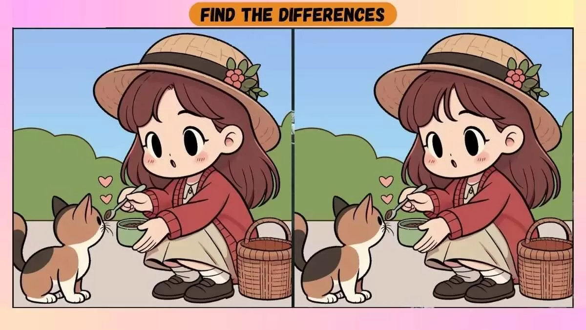 Spot 3 Differences Between Girl Feeding a Cat Pictures in 30 Seconds