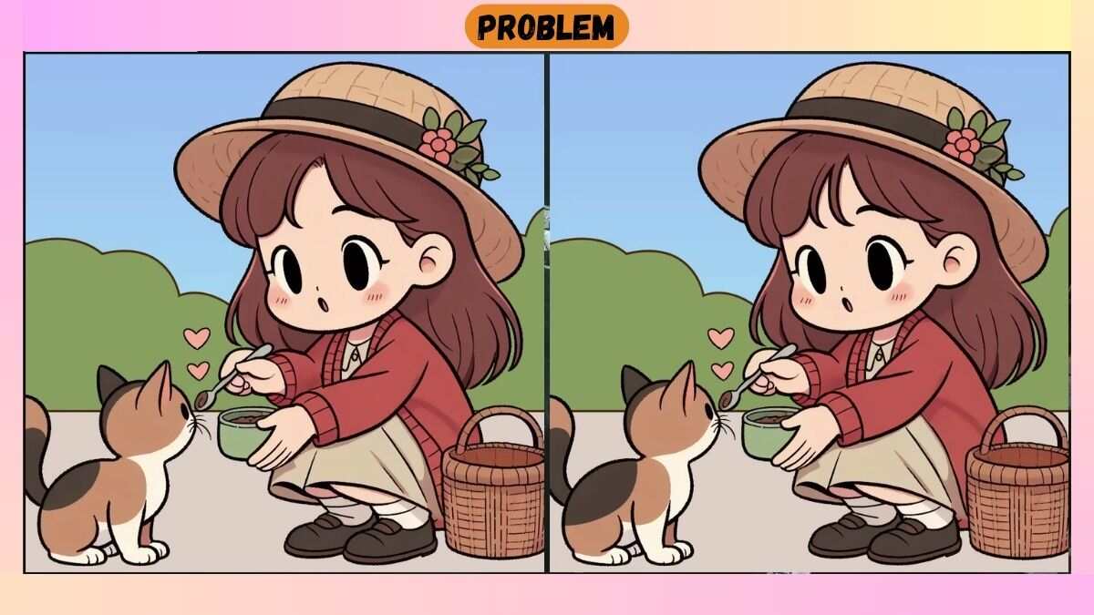 Spot 3 Differences Between Girl Feeding a Cat Pictures in 30 Seconds