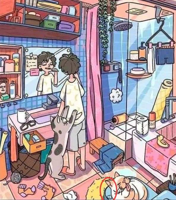 hidden optical illusions