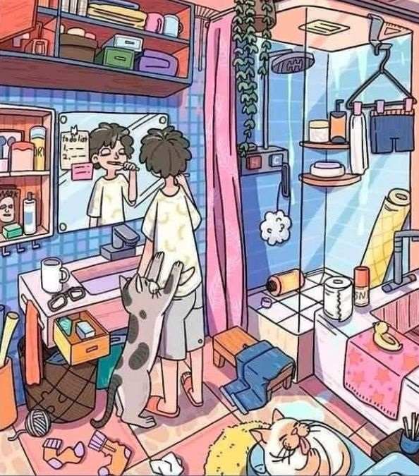 hidden optical illusions