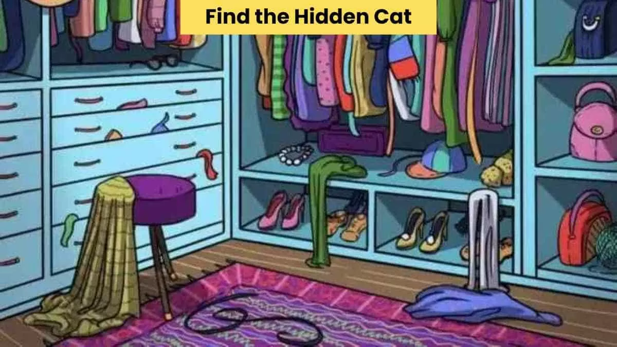 Find the hidden cat in 7 seconds