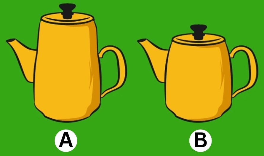 hidden brain teasers with answers