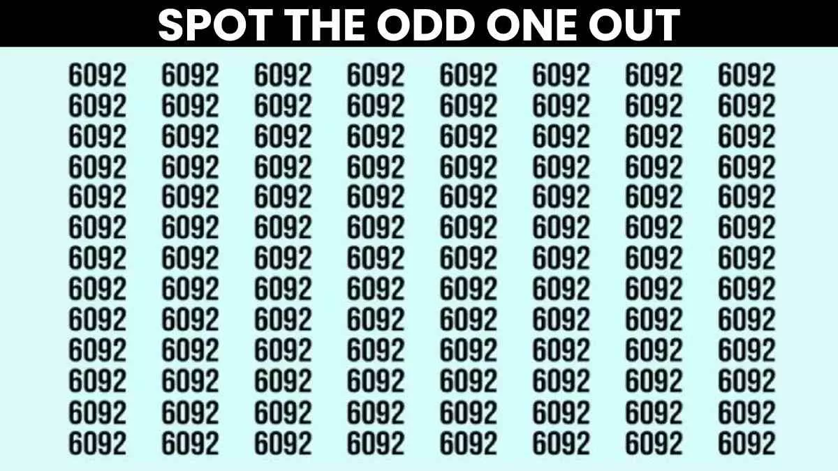 Optical Illusion: Spot The Odd One Out Among 6092s