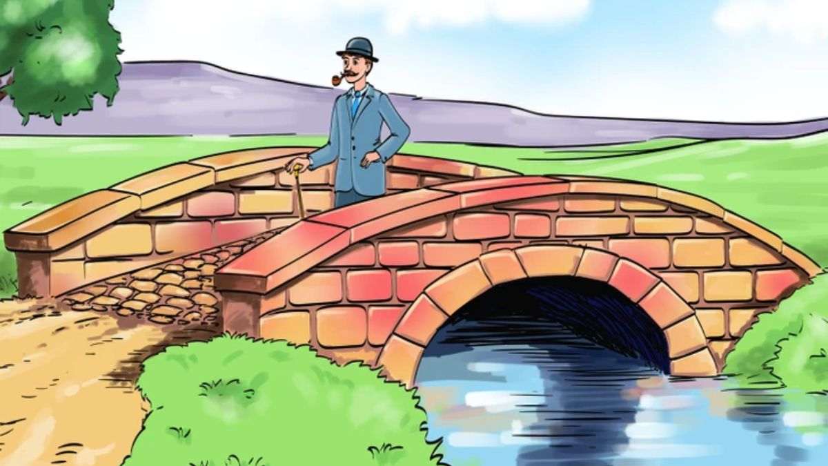 Can You Spot What’s Wrong With This Bridge Picture in 5 Seconds? Test Your IQ Now!