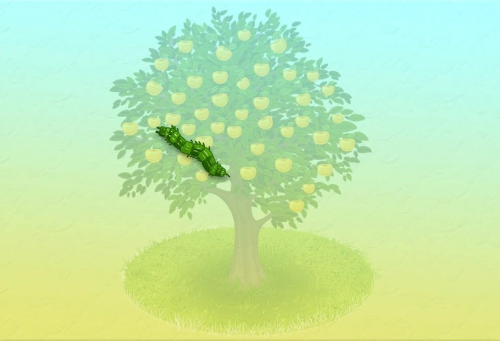 hidden optical illusions with answers