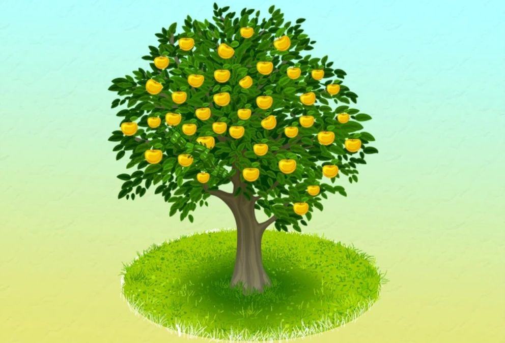 hidden animals optical illusions with answers