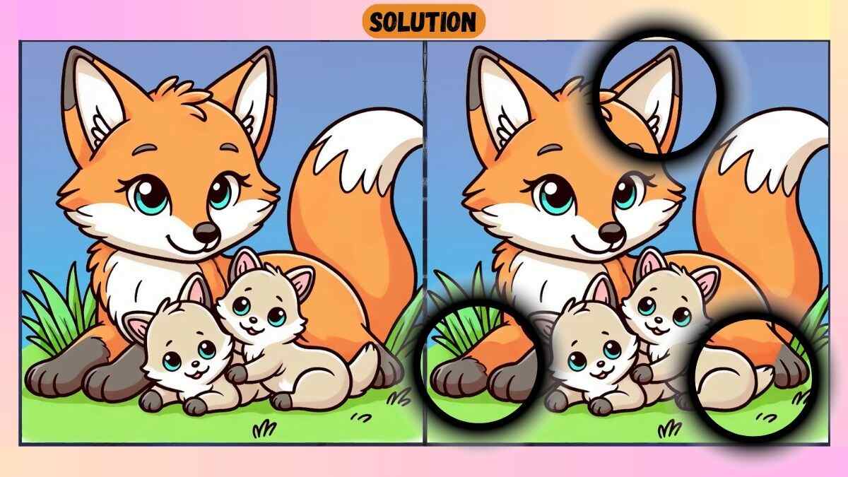 Find 3 Differences in 32 Seconds in This Fox Family Picture
