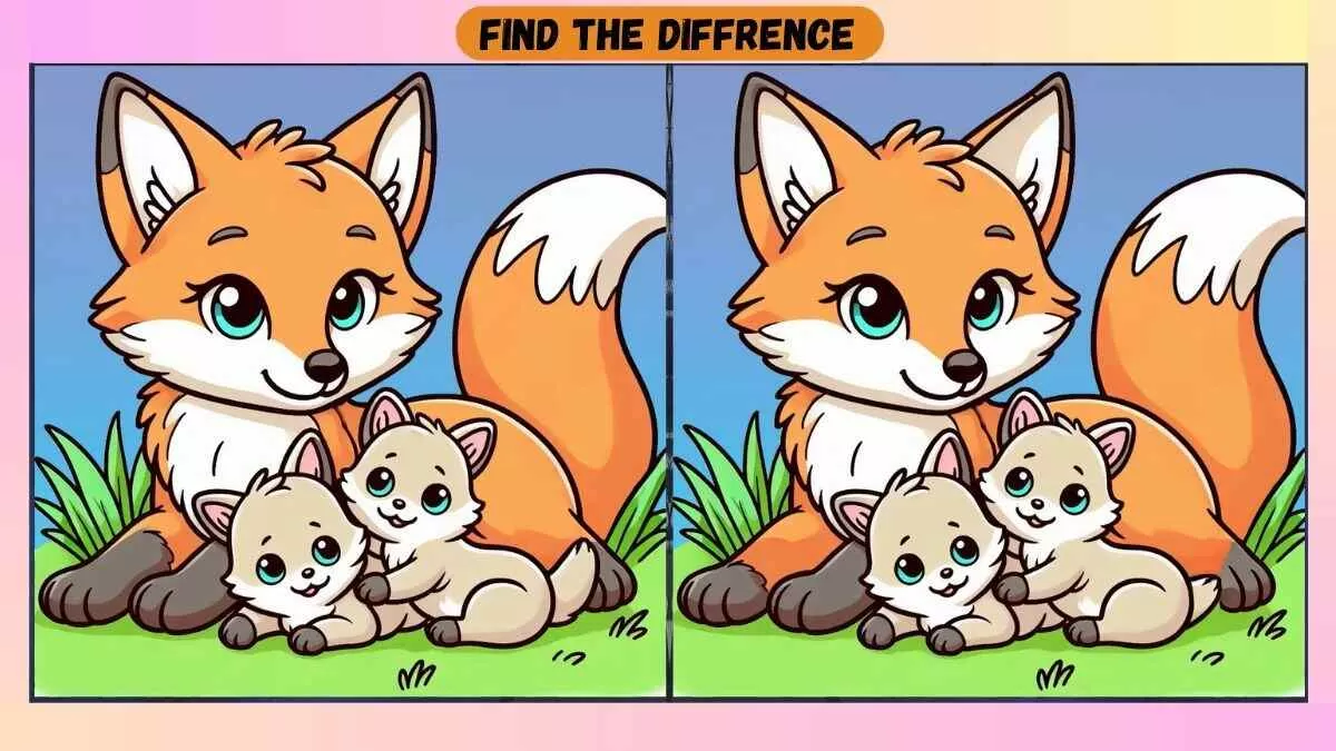 Find 3 Differences in 32 Seconds in This Fox Family Picture