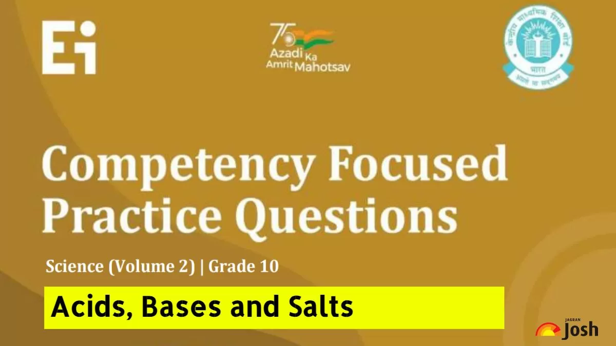 CBSE Class 10 Science chapter 2 Acids, Bases and Salts competency based practice questions and answers 2024-25 free pdf download.