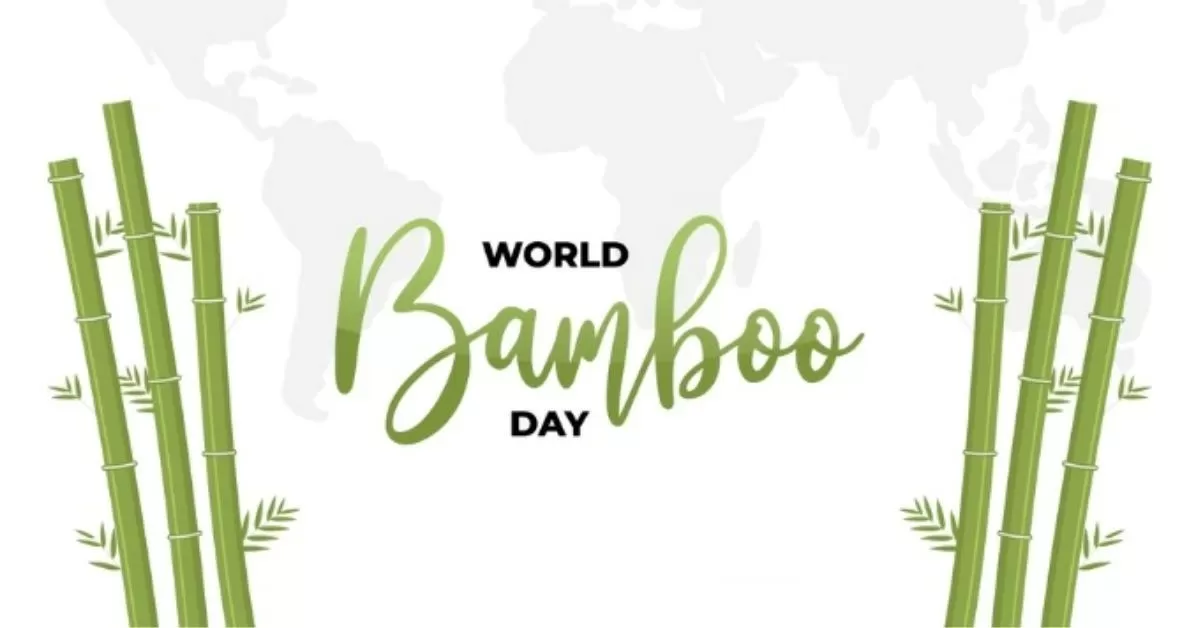 World Bamboo Day 2024