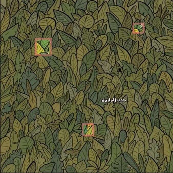 hidden optical illusions with answers